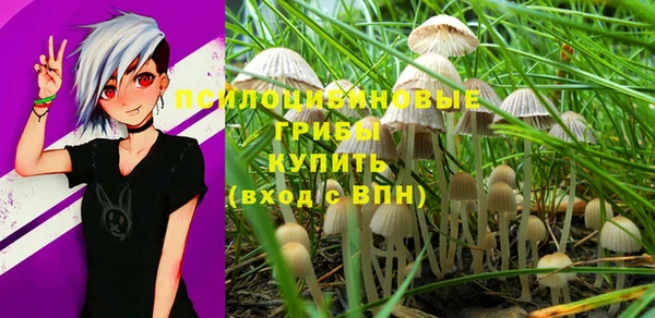 кокаин перу Бородино