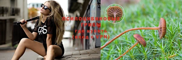 гашик Бугульма